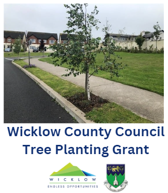 Wicklow County Council Tree Planting Grant 2025
