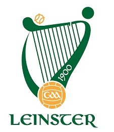 Leinster GAA Club Grant
