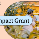 Impact Grant