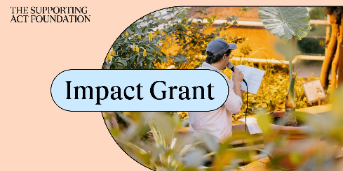Impact Grant