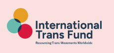 International Trans Fund Grants
